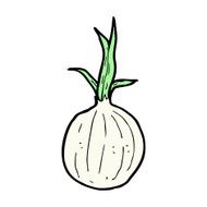 comic cartoon onion
