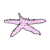 comic cartoon starfish