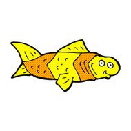 comic cartoon funny fish