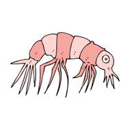 comic cartoon shrimp N2