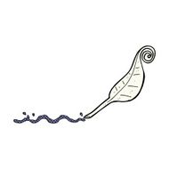 comic cartoon feather quill