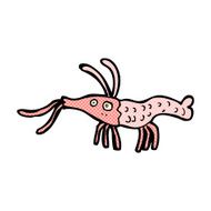 comic cartoon shrimp N4