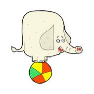 comic cartoon circus elephant