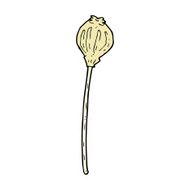 comic cartoon dried poppy N2