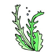comic cartoon seaweed N4