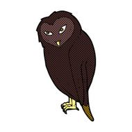 comic cartoon owl N11