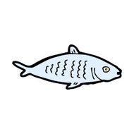 comic cartoon fish N13
