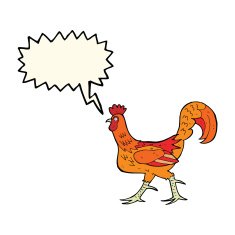 cartoon cockerel with speech bubble N24