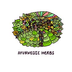 Zentangle element Ayurvedic herbs N2