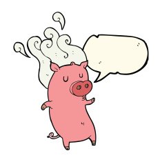 smelly cartoon pig with speech bubble N3