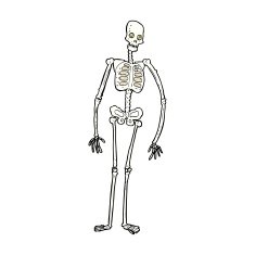 comic cartoon spooky skeleton