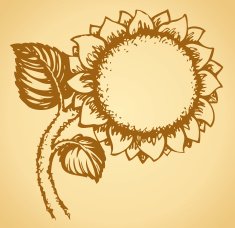 Cute sunflower Vector drawing