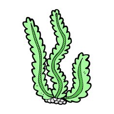 comic cartoon seaweed