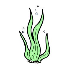 comic cartoon seaweed N2
