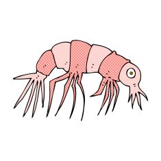 comic cartoon shrimp N2