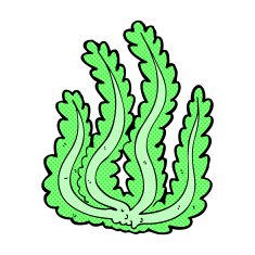 comic cartoon seaweed N3