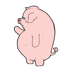 comic cartoon fat pig