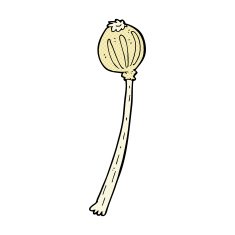 comic cartoon dried poppy