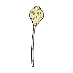 comic cartoon dried poppy N2