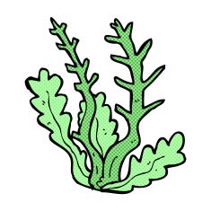 comic cartoon seaweed N5
