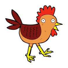 funny comic cartoon chicken