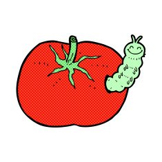 comic cartoon tomato with bug
