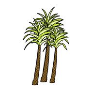 comic cartoon palm tree N3
