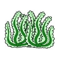 comic cartoon seaweed N8