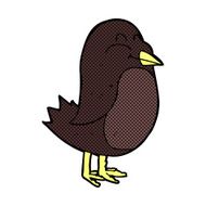 comic cartoon bird N43