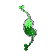 comic cartoon bubbling stomach N2
