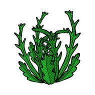 comic cartoon seaweed N9