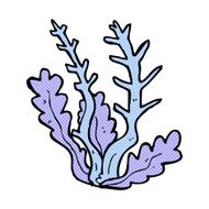 comic cartoon seaweed N10