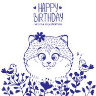 kitten birthday