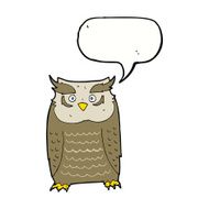 Cartoon owl with speech bubble N54