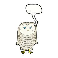 Cartoon owl with speech bubble N56