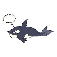 cartoon killer whale with thought bubble N9