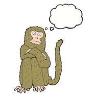 cartoon monkey with thought bubble N24