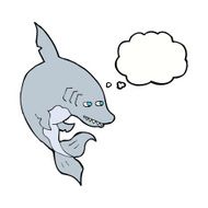 funny cartoon shark with thought bubble N24