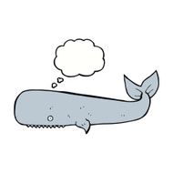 cartoon whale with thought bubble N31