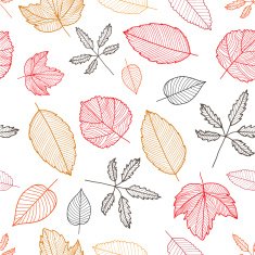 vector autumn colorful hand drawn leaves