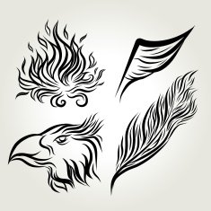 Hand drawn ink Eagle wing feather