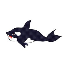 comic cartoon killer whale N2
