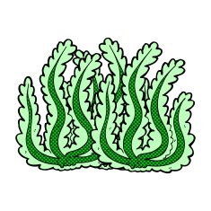 comic cartoon seaweed N8