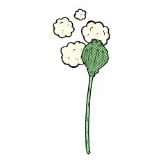 comic cartoon dried poppy N5