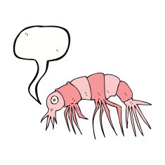 cartoon shrimp with speech bubble N29