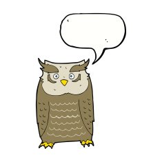 Cartoon owl with speech bubble N54