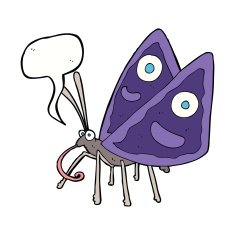 cartoon funny butterfly with speech bubble N9