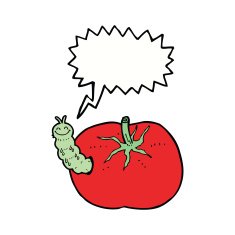 cartoon tomato with bug speech bubble N5