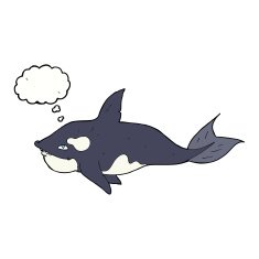 cartoon killer whale with thought bubble N9