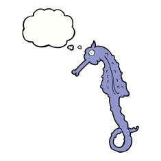 cartoon sea horse with thought bubble N17